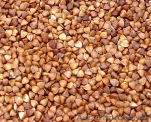 Гречка,  крупа гречневая. #1485685