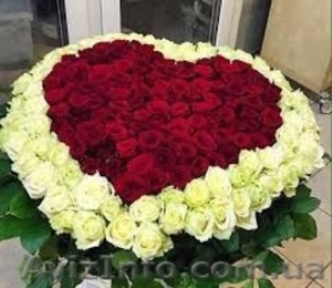 Заказать букет роз Днепр сравнить цены. Магазин цветов читать отзывы. 101 роза #1489471