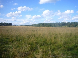 Продам участок 1, 6 га 14 массив / Червоный Хутор. С/х назначения #1486380