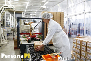 Трудоустройство на кондитерской фабрике в Польше #1487278