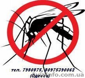 Москитные сетки 200гр*. Срочный ремонт окон. #1488873