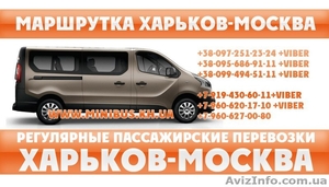 Маршрутка микро-автобус Харьков-Москва. Билеты Москва-Харьков.  #1489545