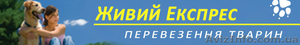 Перевозки животных по Украине и не только #1492592
