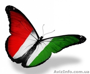 Курсы венгерского языка в учебном центре «Твой Успех» #1488801