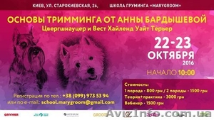 Онлайн вебинар и мастер клас #1495096