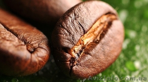 Зёрна кофе,  100% арабика #1495077