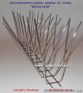 Ефективне відлякування птахів з підвіконь і балконів #1497224