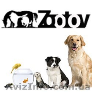 Продажа Zootov #1497236