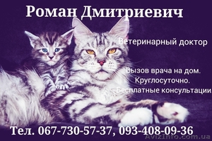 Ветеринар на дом 093-408-09-36 Харьков. #1494254