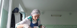 Услуги медсестры на дому. #1068911