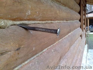 Конопатка  #255288