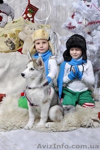 Фотограф на детские мероприятия #1506341