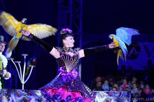 Детские шоу программы #1509368