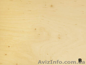 Продам фанеру ФК мебельную 18 мм высокого качества со склада в Харькове #1513271