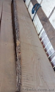 Дуб,  ясень,  клен,  черешня,  ольха, бук, берест. #1504686