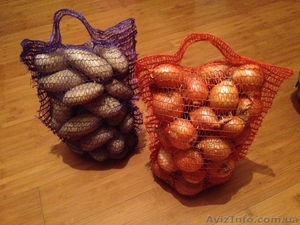 ЛУК репчатый - прямой поставщик из Украины  #1507379