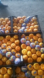 Мандарин продам опт #1507917