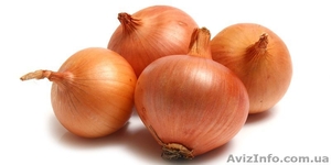 Реализуем репчатый лук #1509195