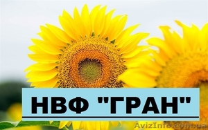 Посівний матеріал (інкрустований) під євро-лайтинг «Армагедон»,   #1506743