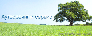 Грамотный аутсорсинг бухгалтерского учёта  #1511192