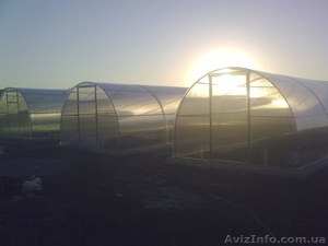  Теплицы с поликарбонатом от производителя #1510865
