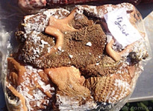 Натуральные корма для собак и других питомцев по доступным ценам #1514833