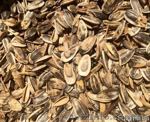 Закупаем деловой и неделовой отход подсолнечника #1516081