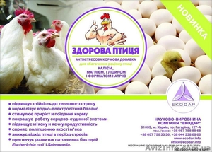 Антистрессовая кормовая добавка ЗДОРОВА ПТИЦЯ #1517897