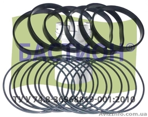 Уплотнительные кольца гильз двигателя #1519368