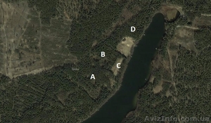 Продаю бизнес в Друскининкай,  Литве: вместе с лесным участком у озера,  3 Га под  #1515248