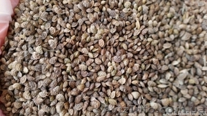 Cемена оптом и в розницу #1520087