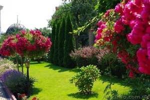 Ландшафтный дизайн,  бассейны под ключ #1518073