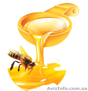 Скупаем ОПТОМ МЕД! ДОРОГО!!! #1515371