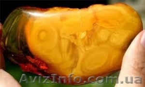 Куплю янтарные бысы ,  драслет ,  брошь ,  продать янтарь . #1519659