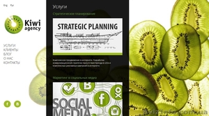 Агентство интернет-маркетинга “Kiwi Agency” #1517357