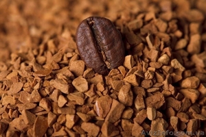 Кофе весовой оптом #1521080