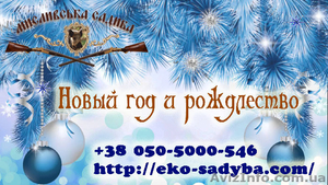 Новогодний отдых на базе отдыха в Полтавской области #1518285