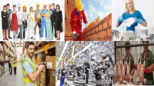 Работа за рубежом,  Польша,  Чехия,  Венгрия,  Литва,  Германия #1527917