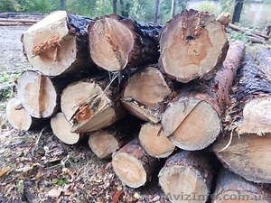 Дрова в Николаеве. #1524882