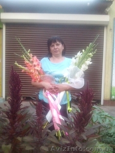 Ремонт ролет Киев недорого,  ремонт дверей,  диагностика окон Киев #1521323