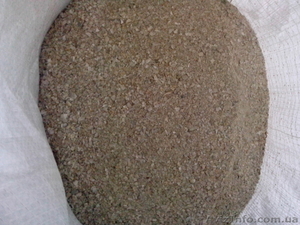 Ракушка кормовая ( морская ) #1528542