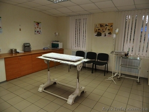 Стерилизация животных #1522623