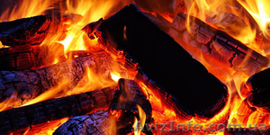 Дрова в Херсоне. #1524880