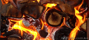 Дрова Запорожье. #1524879