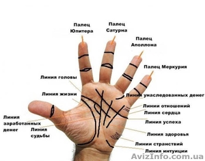 Консультации Хироманта,  услуги хирокоррекции #1523498