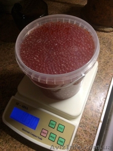  Красная икра от 550грн/кг формируем дилерскую сеть #1521496