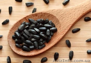 Яссон высочайшего качества гибрид подсолнечника #1528965