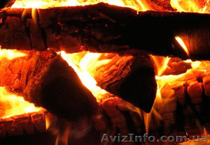 Дрова. Одесса и Одесская область. #1524881