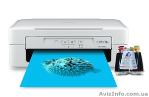 Мфу Epson Colorio PX-045A с СНПЧ #1523055