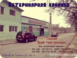 Ветеринар вызов на дом Харьков. #1522977